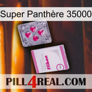 Super Panthère 35000 32